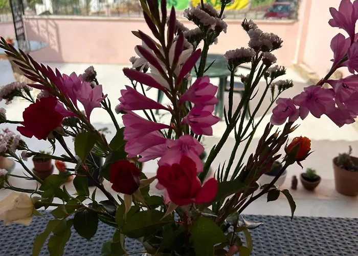 Mae Story Калдаш-да-Раинья